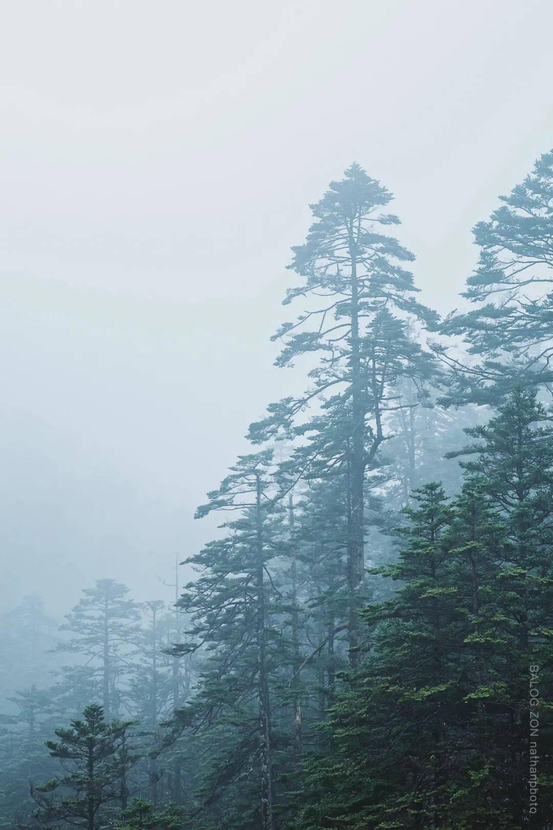 逃离沙漠的遗迹